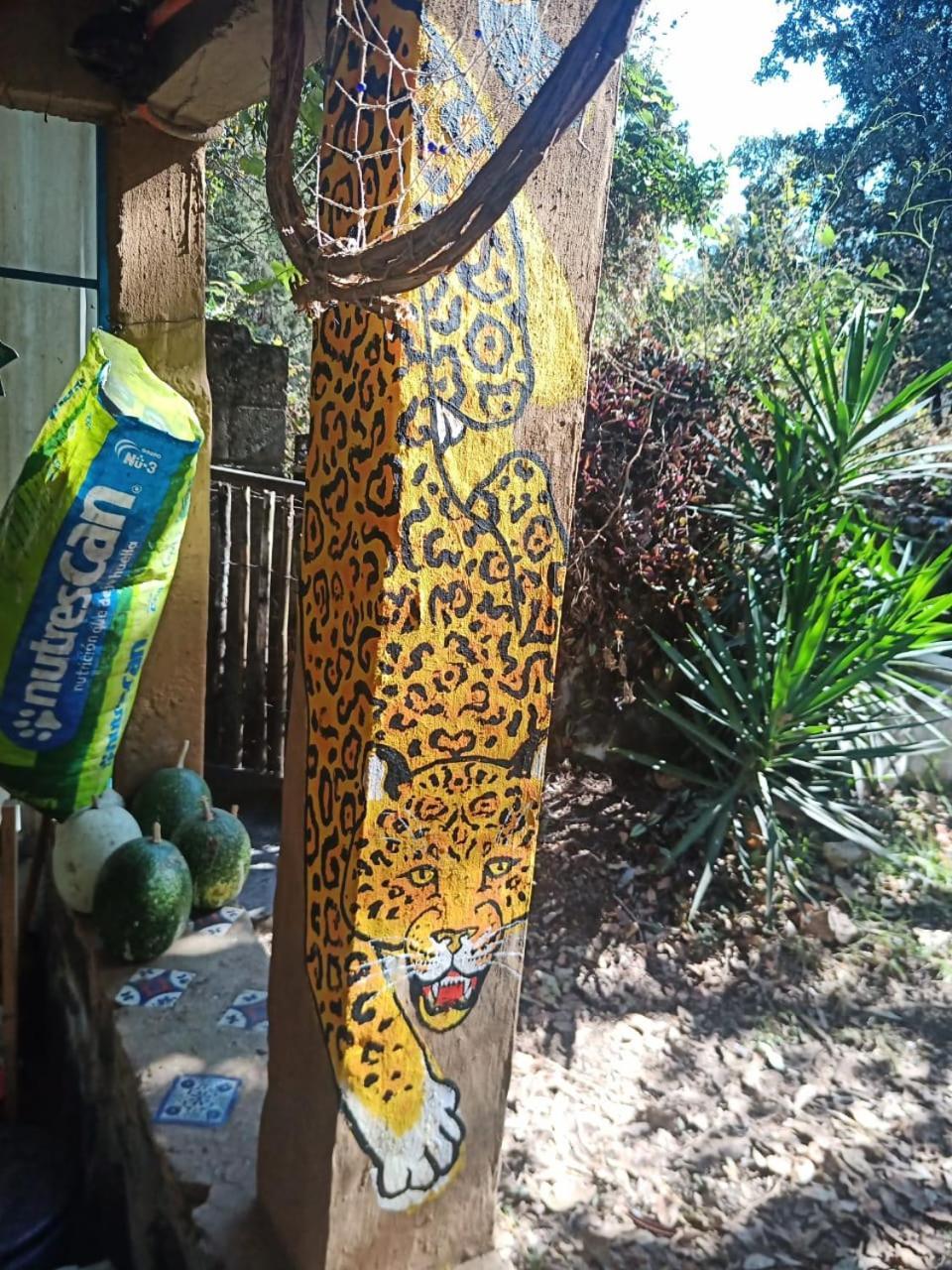 Apartament Casa Ecologica Tepoztlán Zewnętrze zdjęcie